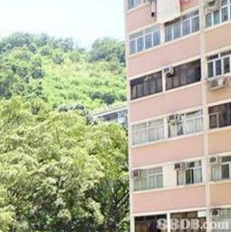 香港置業(yè)指南 探尋心儀安所，優(yōu)化買賣全流程
