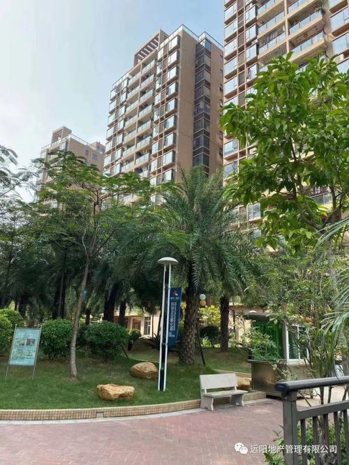 松湖佳境 小產權房的景觀升級篇——“風景區(qū)里的家”生活實記